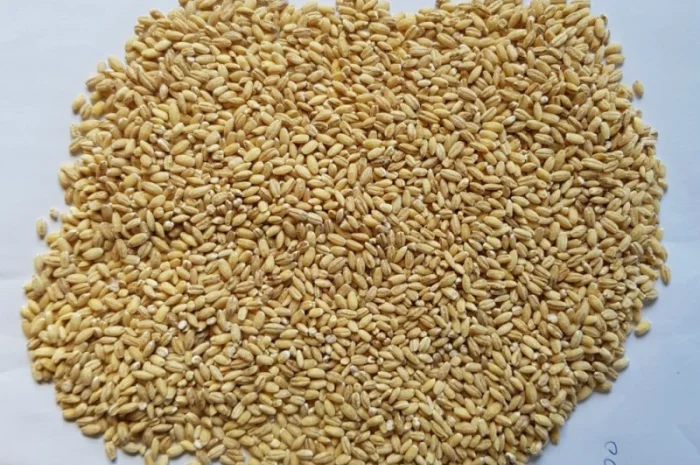 Крупы оптом от производителя с НДС Полтава- фото № 3