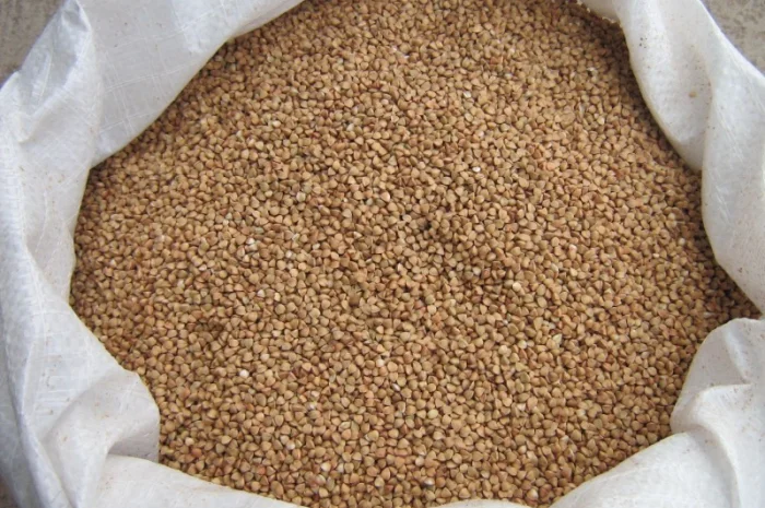 Гречка січка, крупа гречана, гречневая крупа в мешках по 25кг- фото № 1