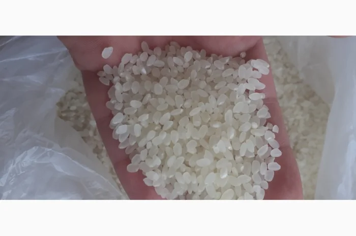 Продам Рис длинный, пропаренный, круглый от прямого импортера- фото № 1