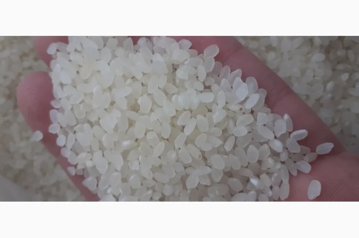 Продам Рис длинный, пропаренный, круглый от прямого импортера- фото № 2