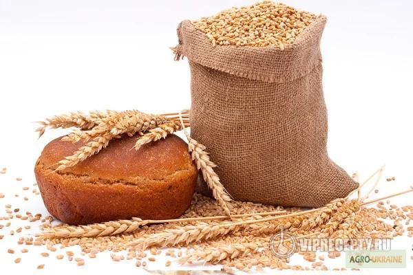 Крупы на экспорт! Весовые и фасованные- фото № 10