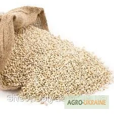 Крупы на экспорт! Весовые и фасованные- фото № 5