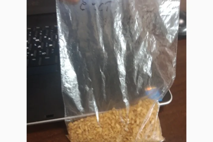 Булгур, булгур з овочами і вермішеллю власного виробництва на експорт- фото № 2