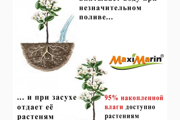 Суперабсорбент MaxiMarin, гідрогель- фото № 1