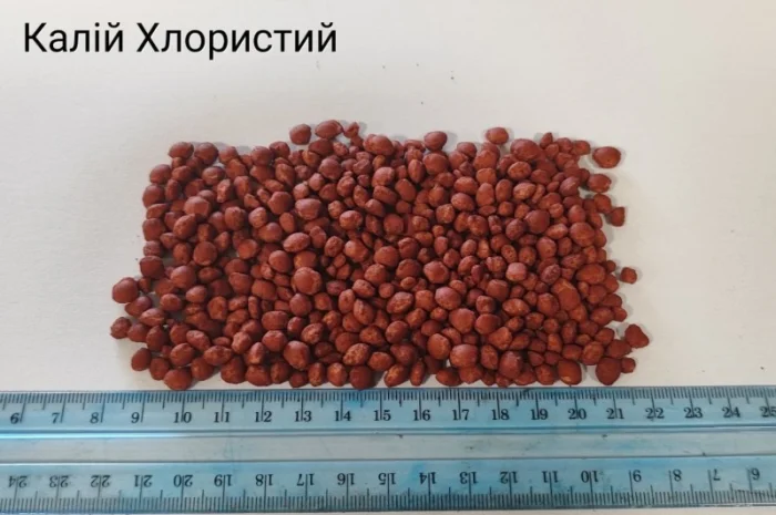 Калій хлористий гранульований- фото № 1