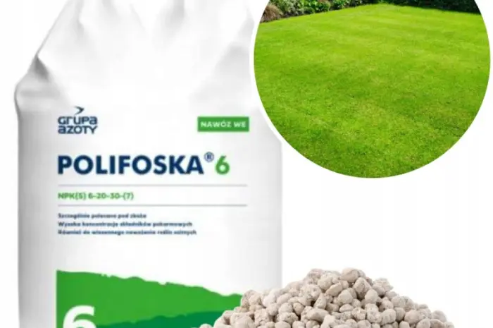 Поліфоска 6 (NPK) 6-20-30 +7(S) / Polifoska 6- фото № 1