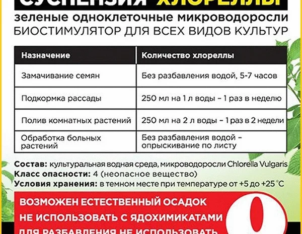 Хлорела суспензія - зелене золото- фото № 2