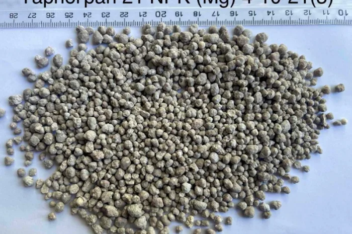 TARNOGRAN 21 NPK(CaMgS) 3-10-21 (6-3-18)- фото № 1