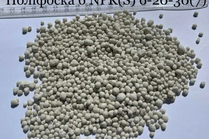 Поліфоска 6 NPK (S) 6-20-30- (7), добрива- фото № 2