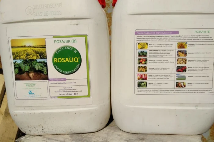 Розалік В- фото № 2