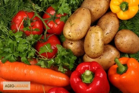 Калиймаг К (Mg-Ca-S) 44±4 (15-5-3) - комплексное удобрение- фото № 1