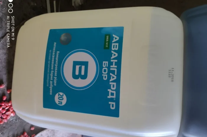 Авангарл бор мікродобриво- фото № 1