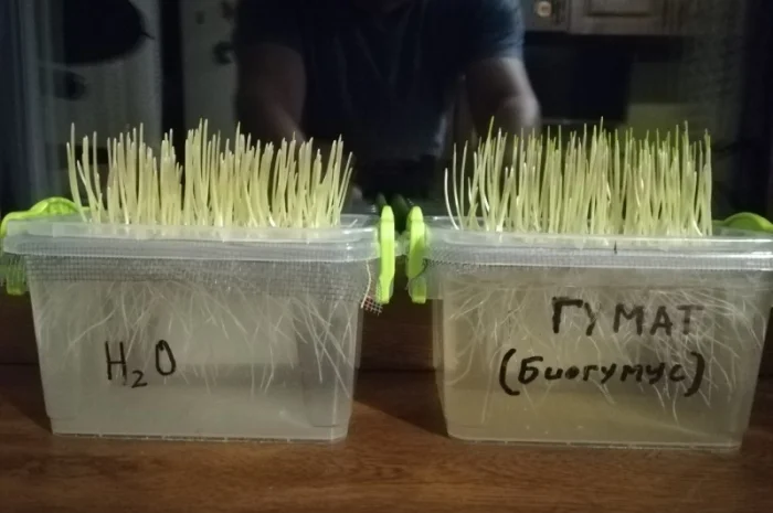 Гумат Калия из биогумуса- фото № 1