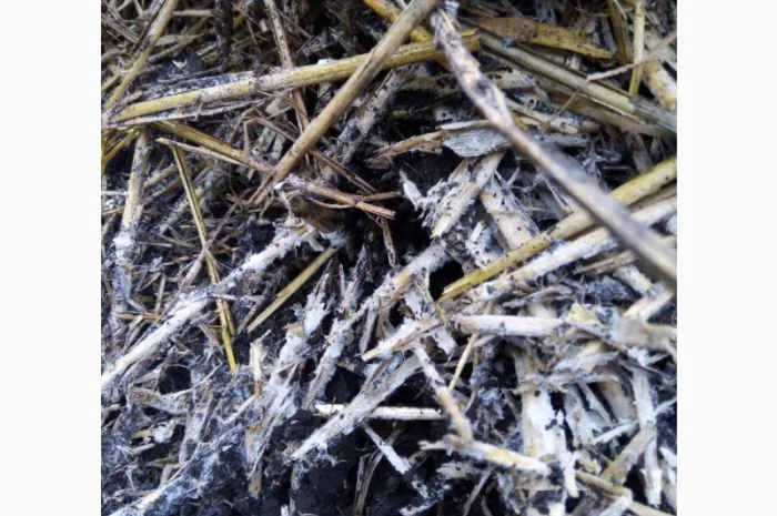 Деструктор стерни+удобрение для улучшения качества почвы- фото № 4