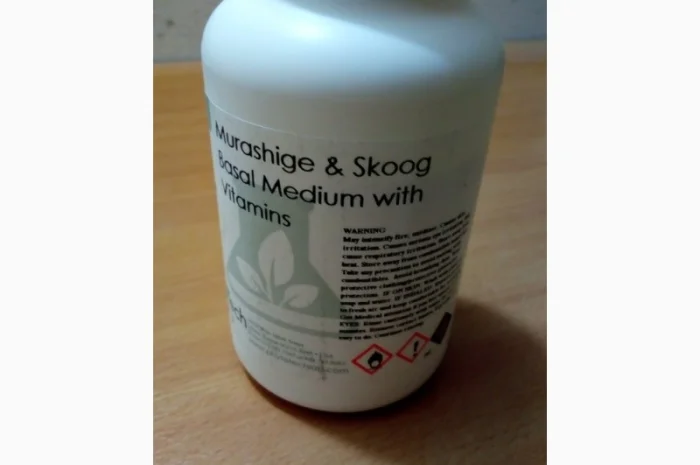 Среда Мурасиге Скуга- фото № 1
