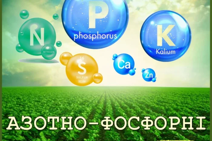 Діамонійфосфат (DAP) Болгарія, Туреччина, Марокко, Йорданія- фото № 1