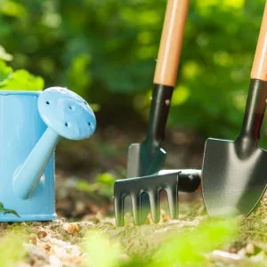 Пробиотики для растений и востановления жизни Земли- фото № 3