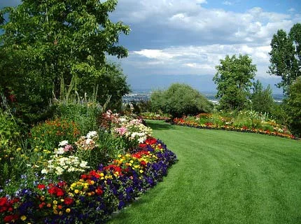 Пробиотики для растений и востановления жизни Земли- фото № 4