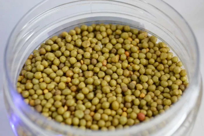 Удобрення Осмокот: Exact та інші види- фото № 6