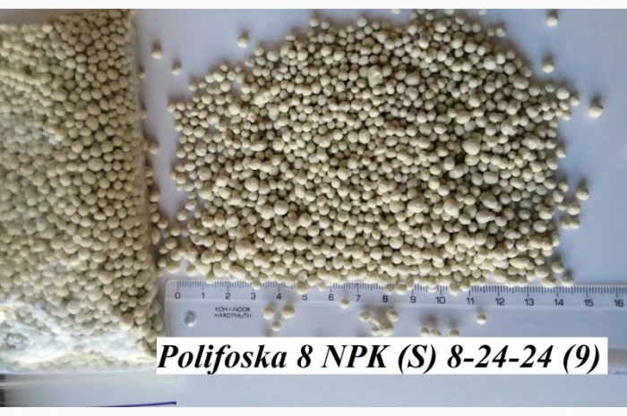 Поліфоска 8 NPK (S) 8:24:24(9) комплексне мінеральне добриво- фото № 2