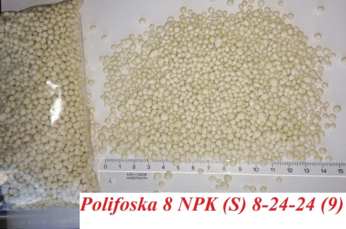 Поліфоска 8 NPK (S) 8:24:24(9) комплексне мінеральне добриво- фото № 3