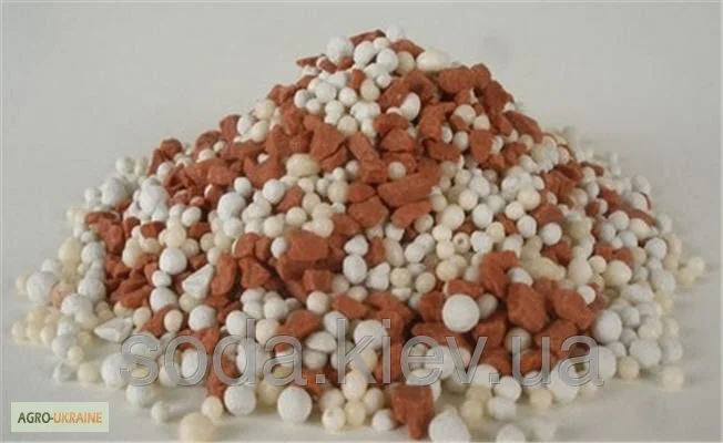 Суперагро 12:24- фото № 1