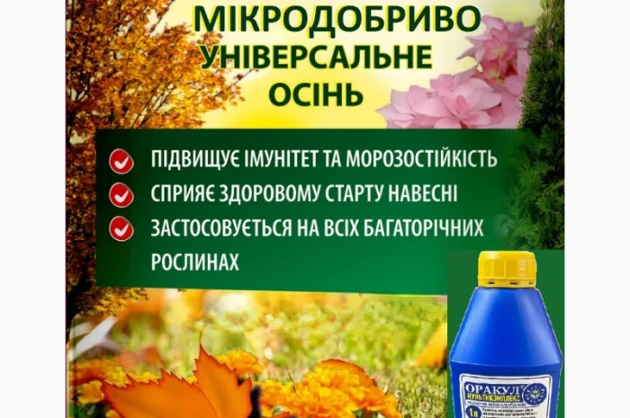 Підготуй газон та сад свій до зими- фото № 1