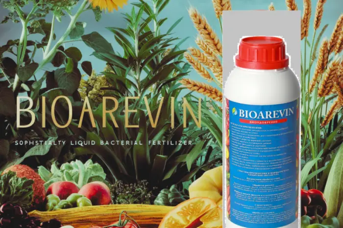 Біодобриво BIOAREVIN Універсальне багатофункціональне біодобриво- фото № 2