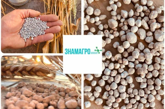 Суперфосфат P(CaS) 19-(20-32)- фото № 2