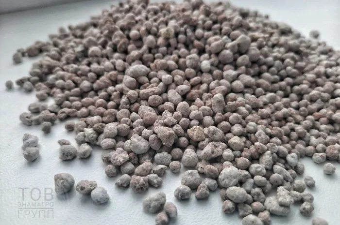 Тарногран Р з бором / Tarnogran R z borem- фото № 1