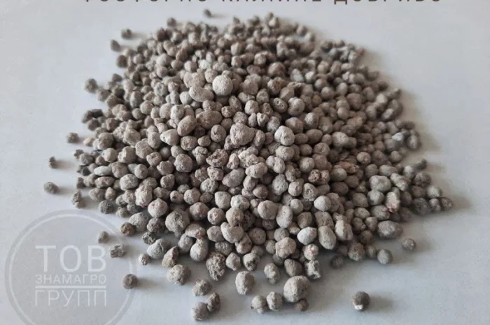 Тарногран / Tarnogran РК (Ca, Mg, S) 12-23 (6-4-10)- фото № 1