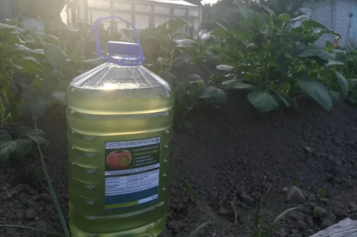 Культуральна середа хлорели для ефективного рослинництва- фото № 3