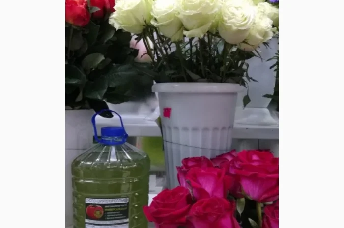 Культуральна середа хлорели для ефективного рослинництва- фото № 4