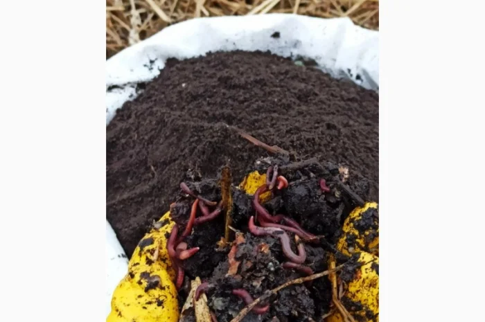 Біогумус вермікомпост просіяний добриво для саду городу компост у мішку 10 і 30 кг- фото № 1