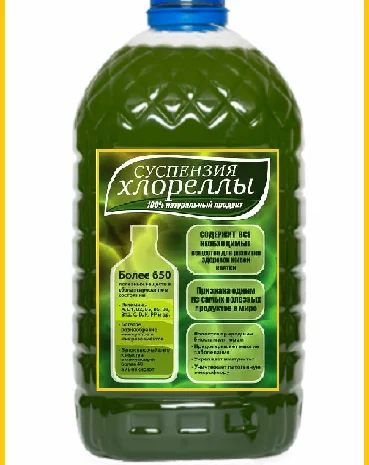 Хлорелла суспензия (Chlorella-Vulgaris) - живой штамм водоросли- фото № 1