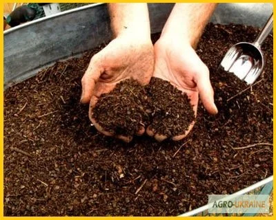 Экологическое удобрение - перепелиный помет- фото № 3