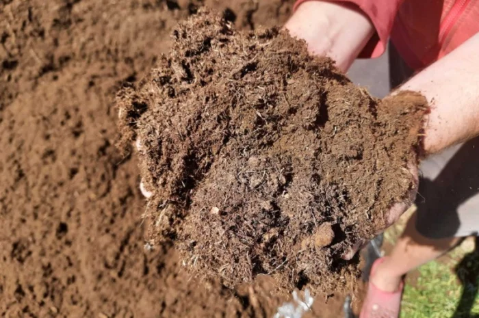 Субстрат для голубики, мешки 70 литров- фото № 1