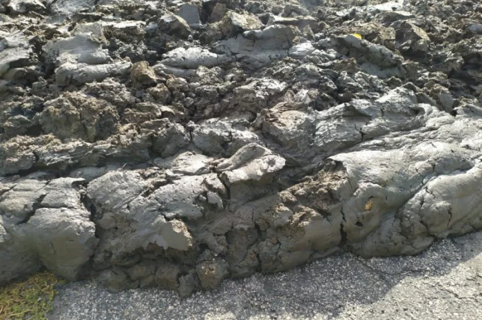 Сапропель – удобрение для вашего хозяйства- фото № 3