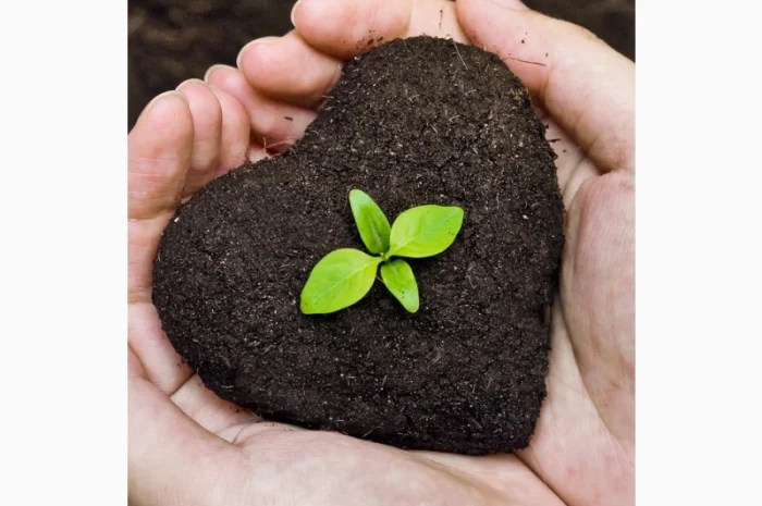 Биогумус- фото № 1