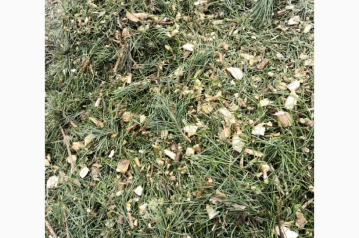 Продам хвойну мульчу- фото № 2