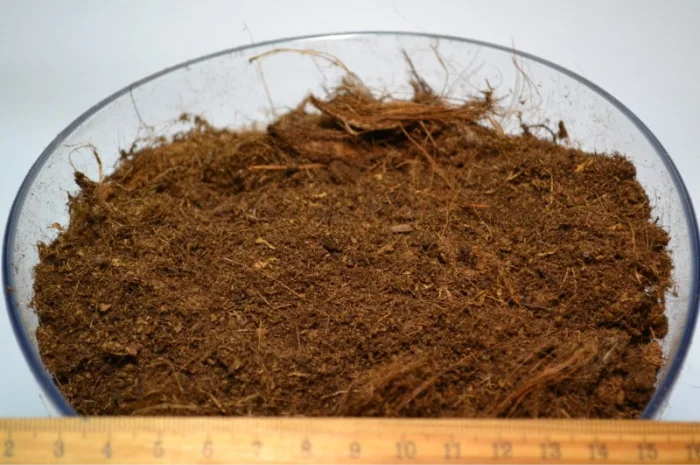 Продаю торф верховий в біг бегах по 3500 літрів - Білорусь ОПТОМ на на роздріб- фото № 4