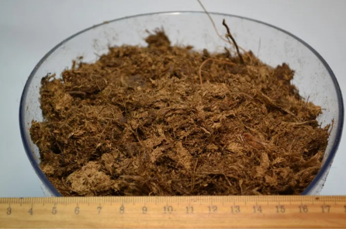 Продаю торф верховий в біг бегах по 3500 літрів - Білорусь ОПТОМ на на роздріб- фото № 7