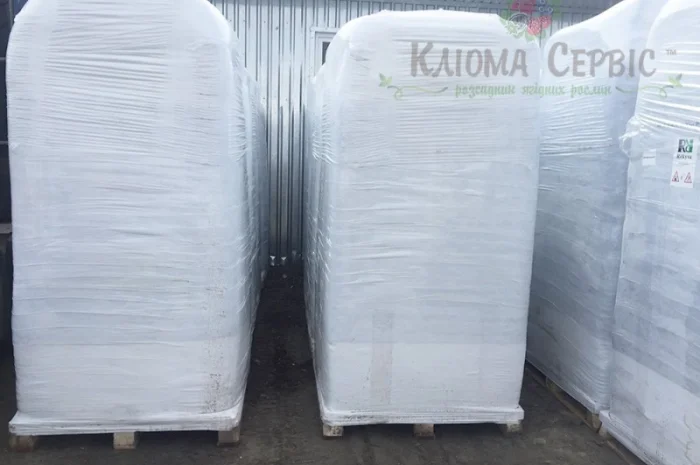 Натуральний верховий торф та професійні субстрати на палетах (4-5 м.куб) Литва Remix- фото № 2