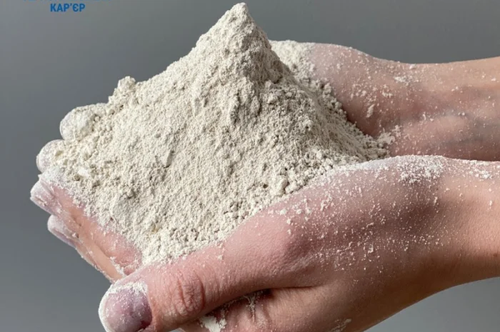 Минеральный порошок, вапняк гранульований, известь гранулированная- фото № 2