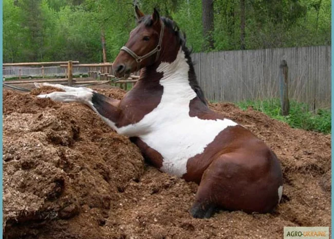 Перегной Боярка Тарасовка Перегной в мешках Киевская область Натуральное удобрение- фото № 2