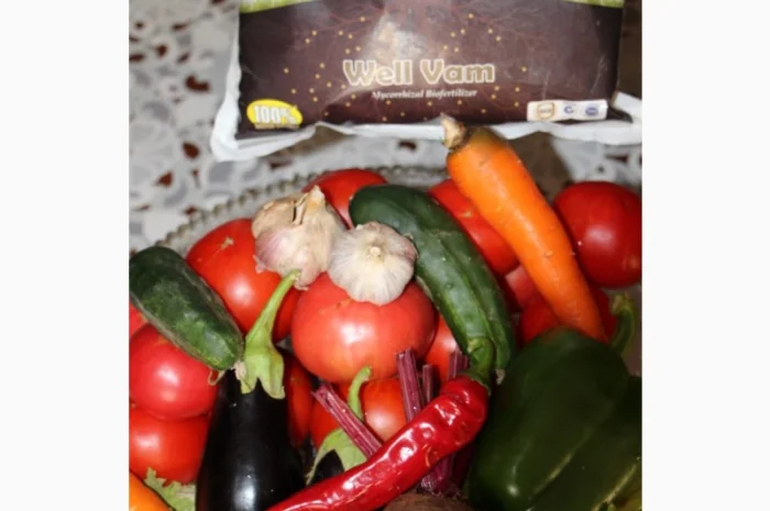 Микориза Велвам- фото № 1