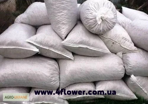 Куриный помёт в мешках- фото № 1