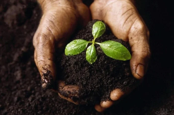 Ферма продаст перегной- фото № 1