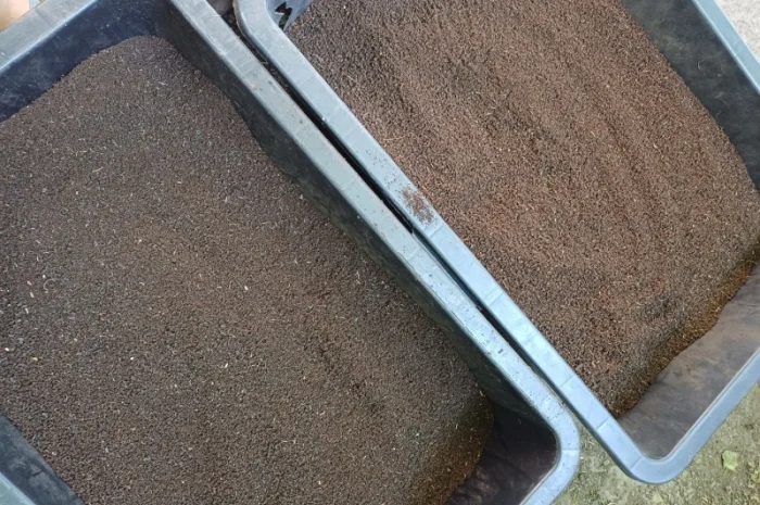 Продам БІОГУМУС Органічне добриво- фото № 2