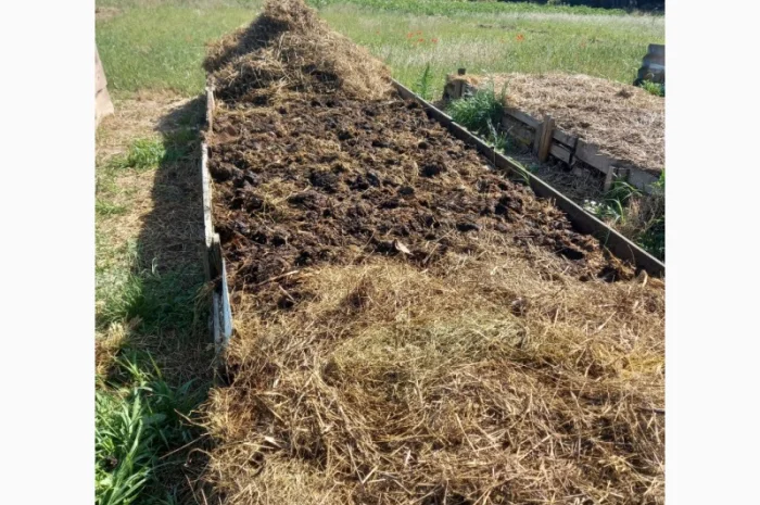 Продам БІОГУМУС Органічне добриво- фото № 3